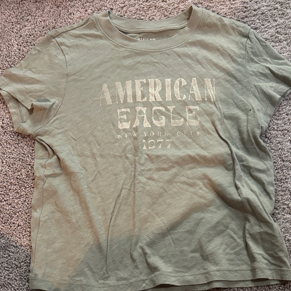 American Eagle Outfitters Sage Green Graphic Tee